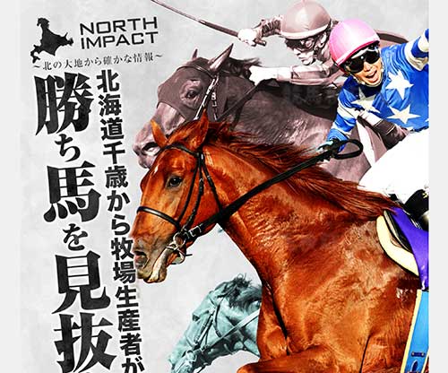 ノースインパクト　競馬予想サイト