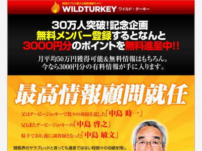 ワイルドターキー(WILD TURKEY)　競馬予想サイト