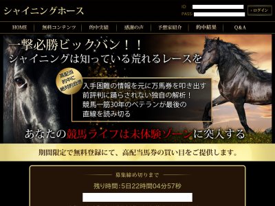 シャイニングホース　競馬予想サイト