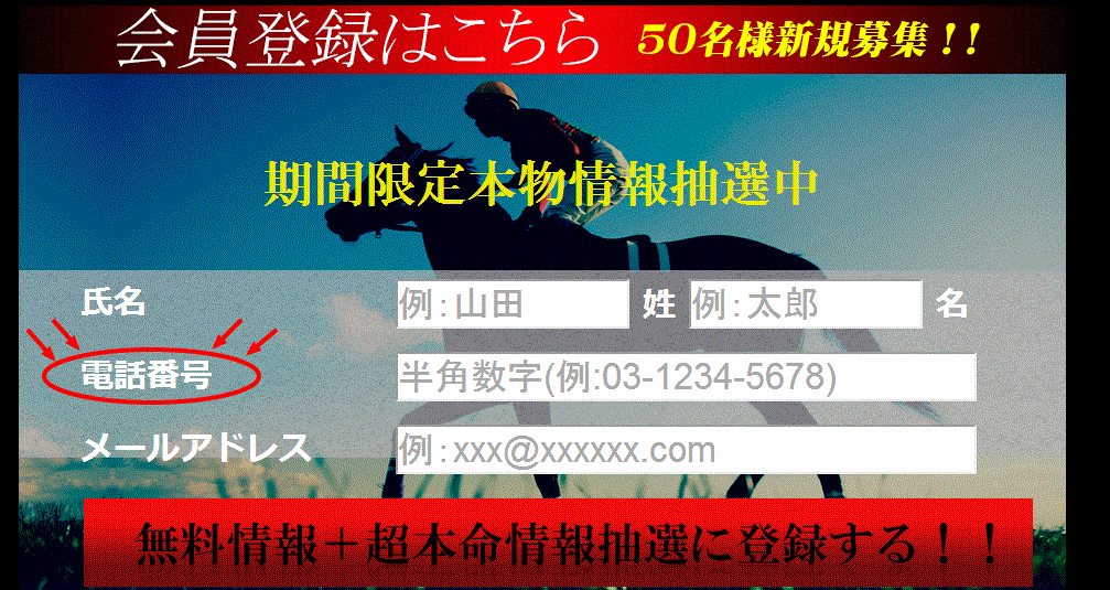 個人情報を求める競馬予想サイト