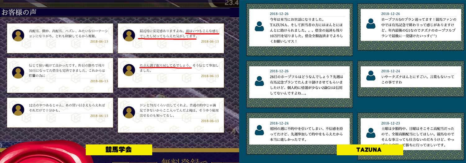 お客様の声は激似のTAZUNA(たづな)と競馬学会