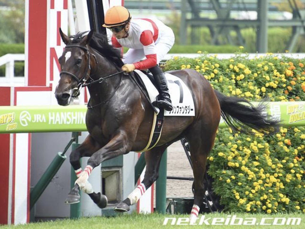 2019年注目の注目馬(牝馬)はダノンファンタジー