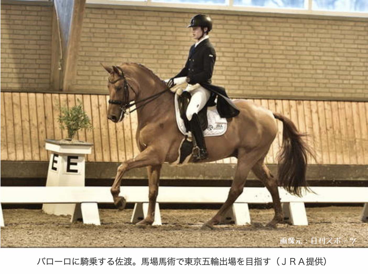 オリンピックの馬術とは。競馬との違い