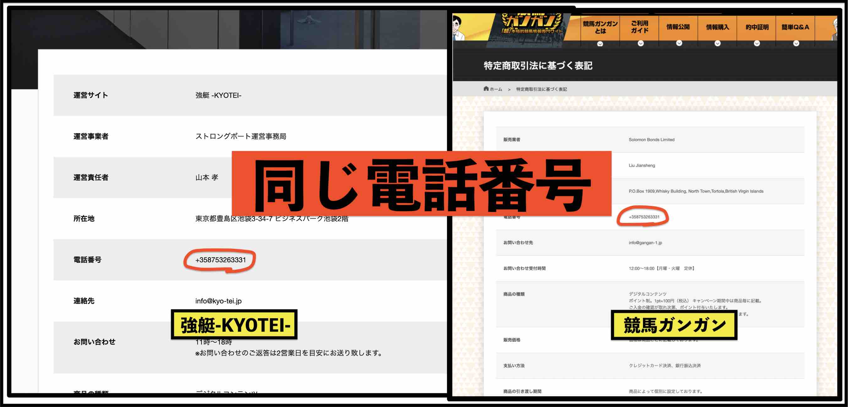 競馬ガンガンという競馬予想サイトと強艇という競艇予想サイトは同じ会社