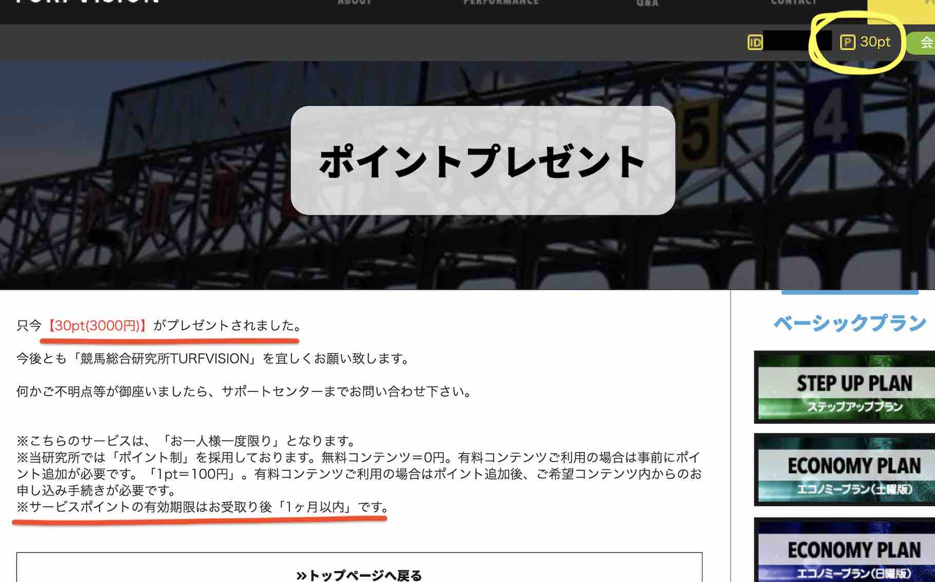 ターフビジョンという競馬予想サイトのポイント還元30pt