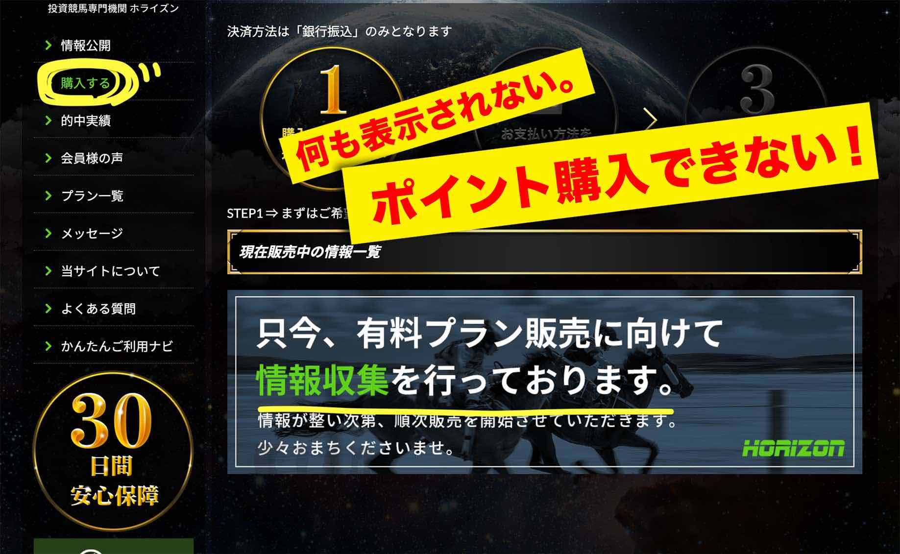 HORIZON(ホライズン)でポイント買えない