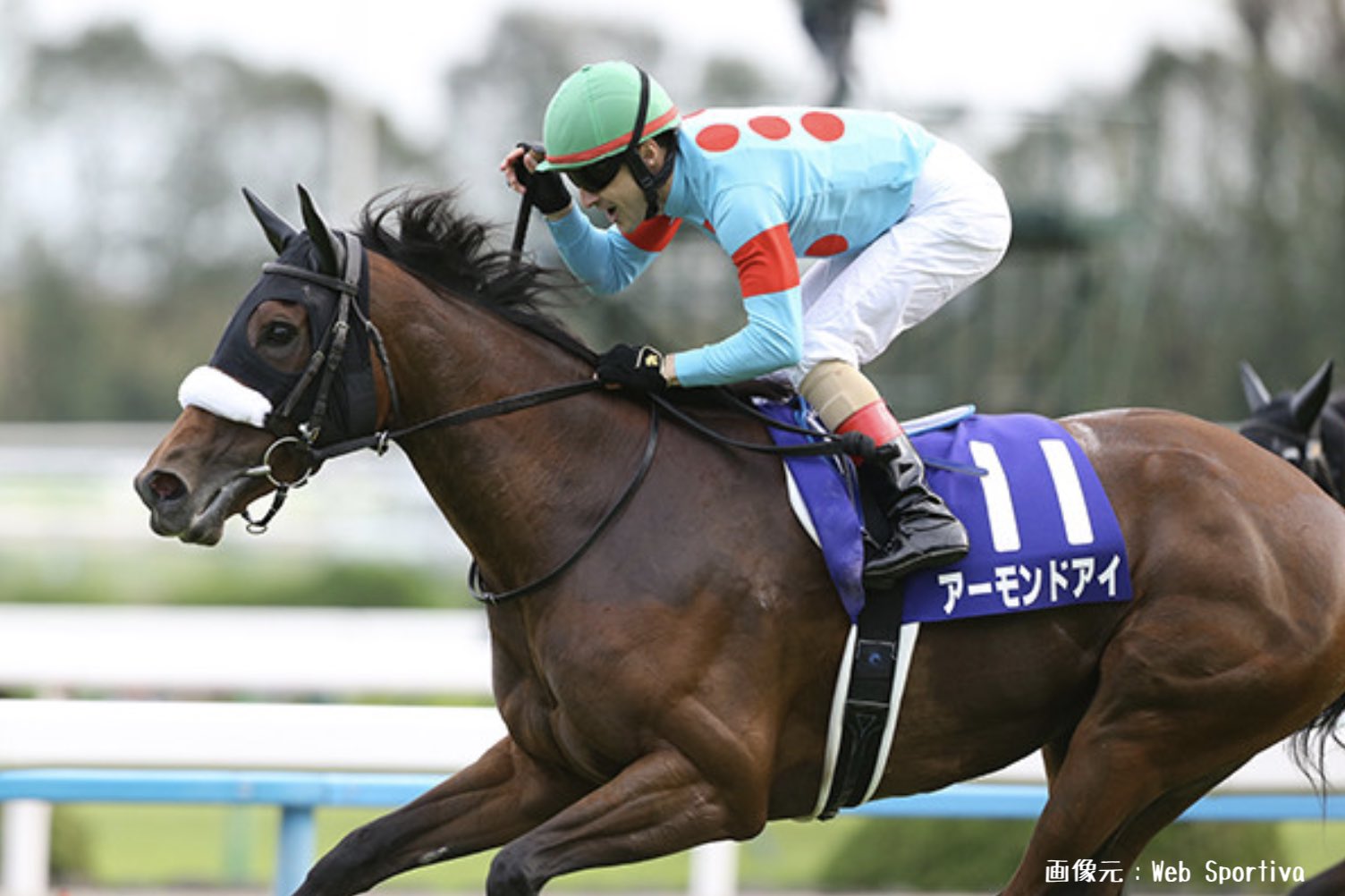 2020年の注目馬、なるか8冠アーモンドアイ?