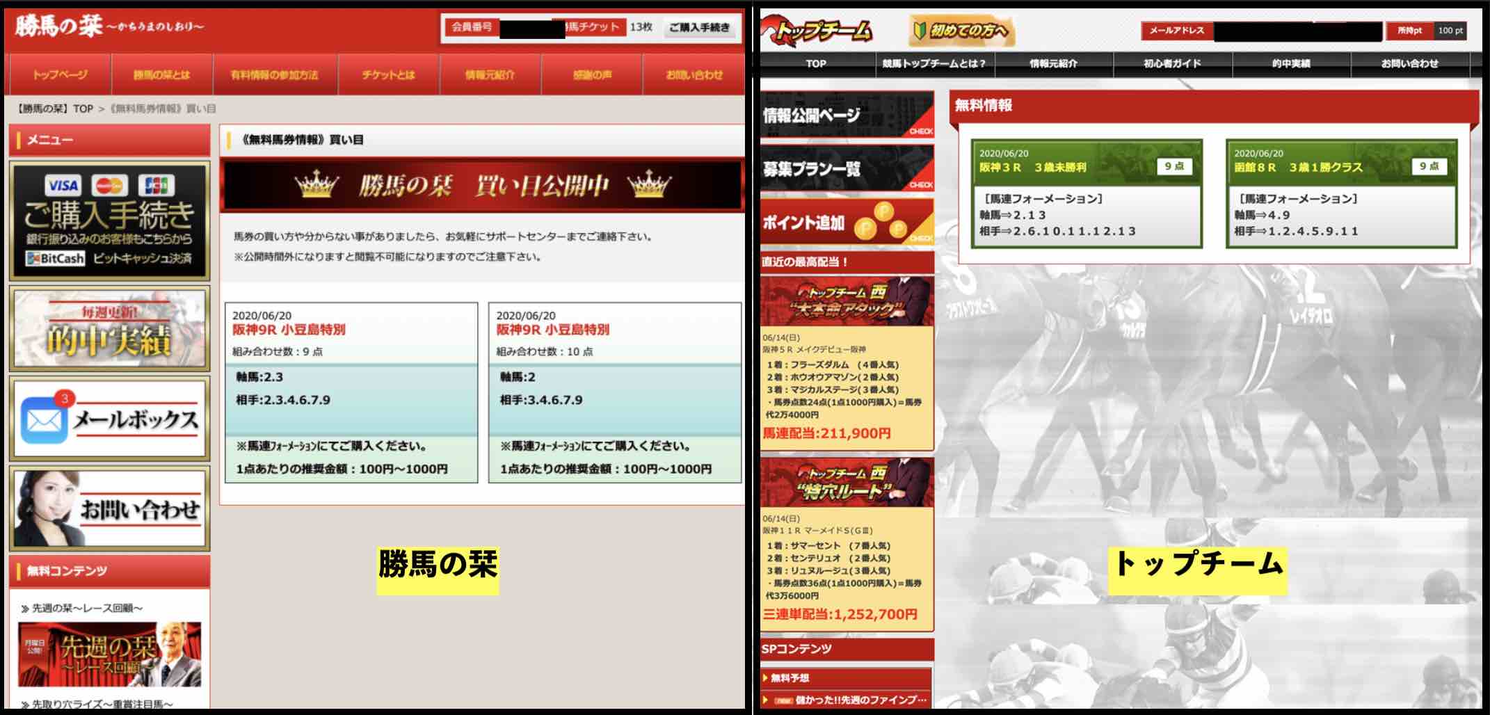 競馬トップチームという競馬予想サイトと似てる勝馬の栞