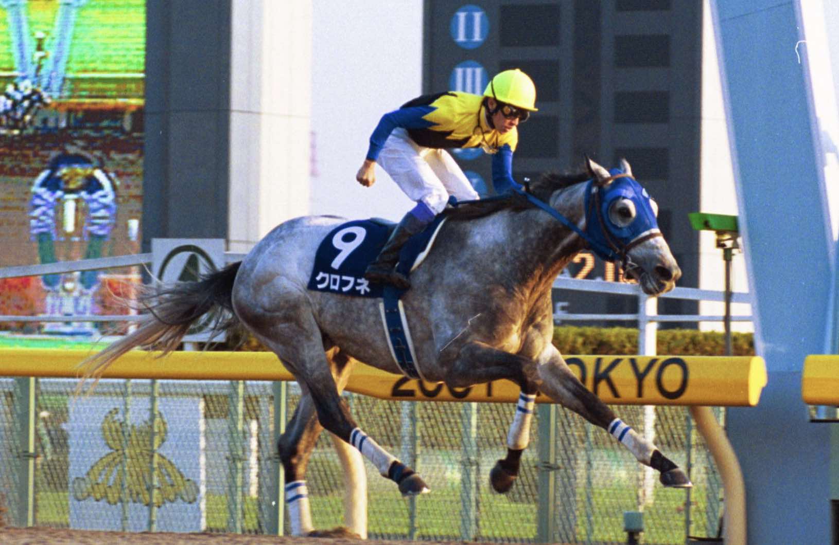 ソダシの父クロフネの写真画像