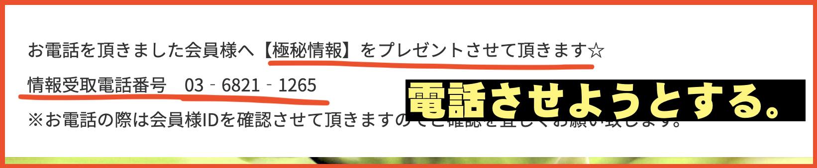 キメルケイバという競馬よ予想サイトも電話をさせるようになった