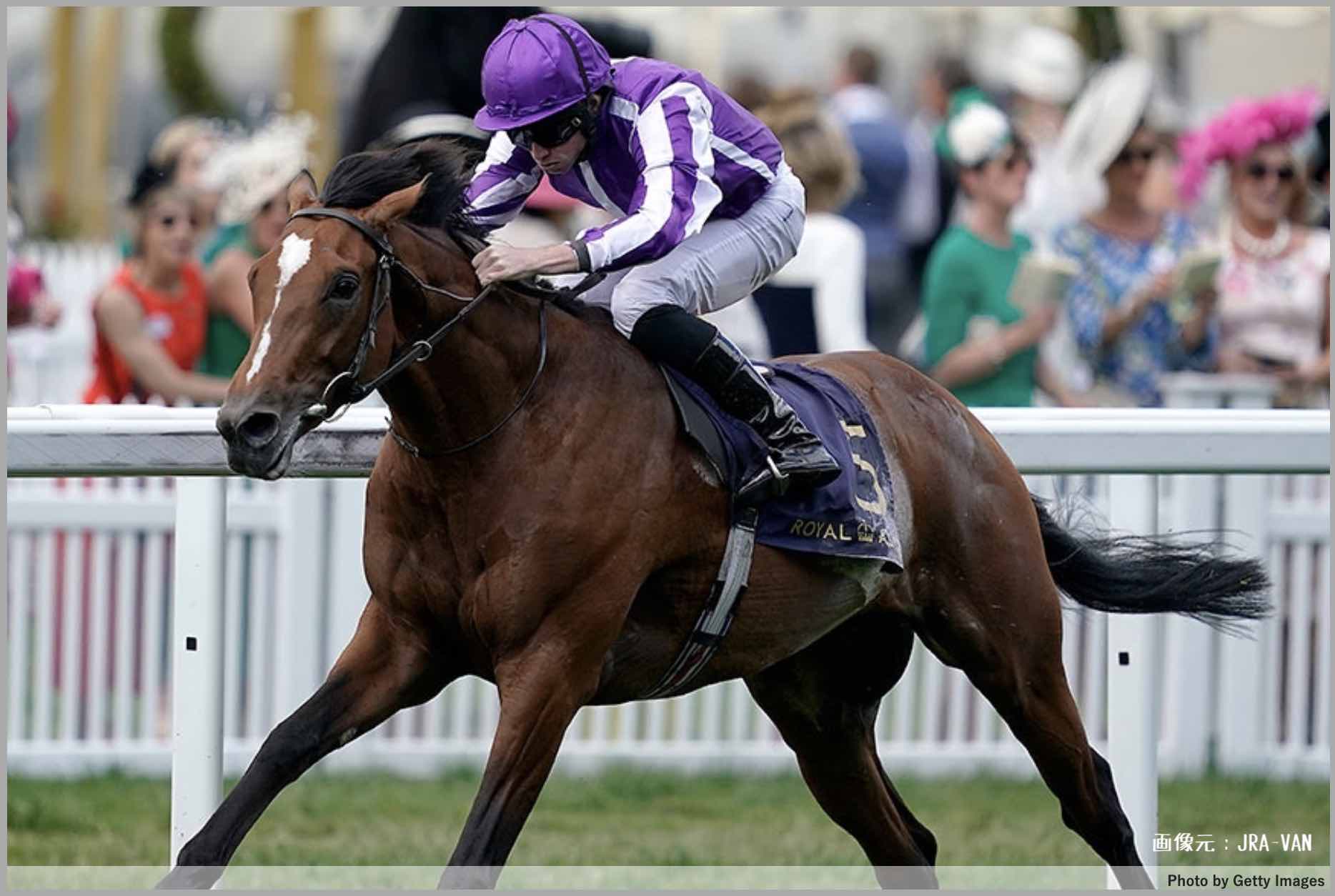 競馬JAPAN(ジャパン)と言う競走馬