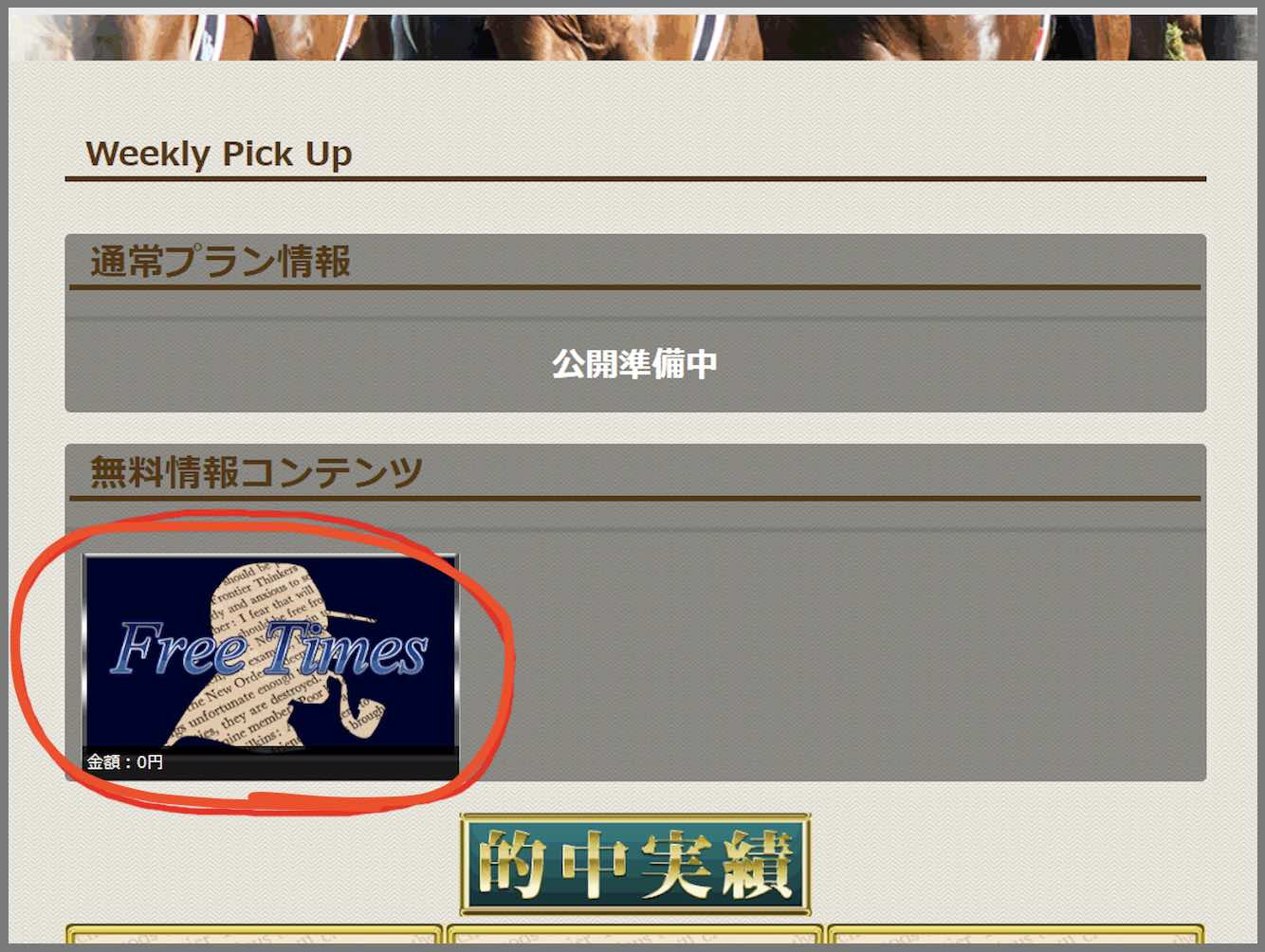 ダービータイムズという競馬予想サイトの無料予想(無料情報)を確認する