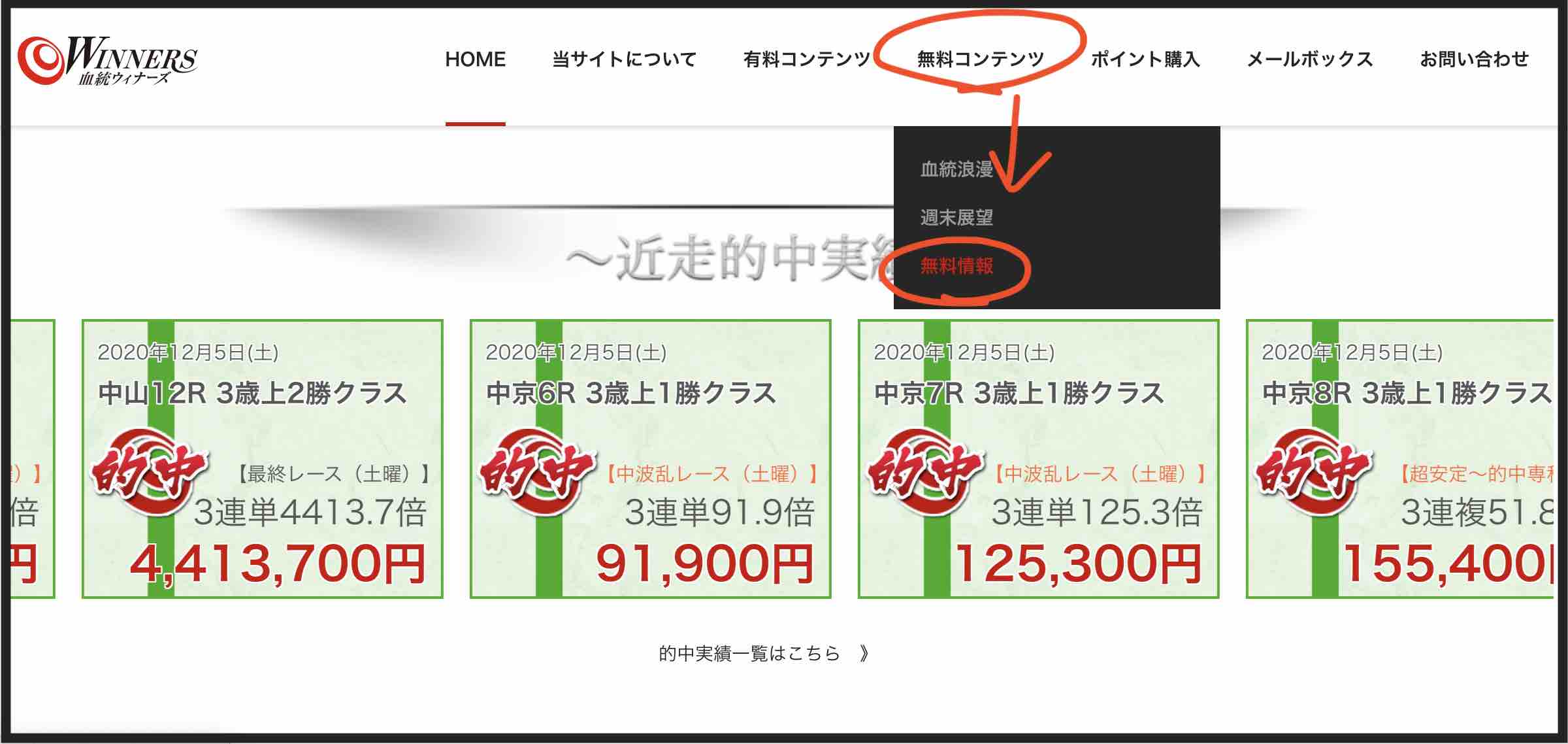 血統ウィナーズ(血統WINNERS)という競馬予想サイトの無料予想(無料情報)を確認する