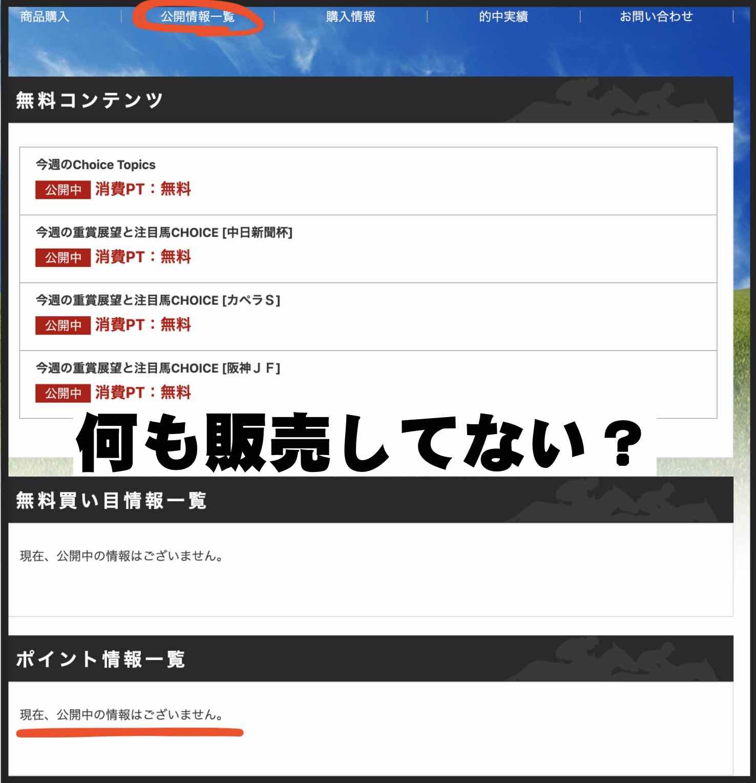 CHOICE(チョイス)という競馬予想サイトは稼働してない?