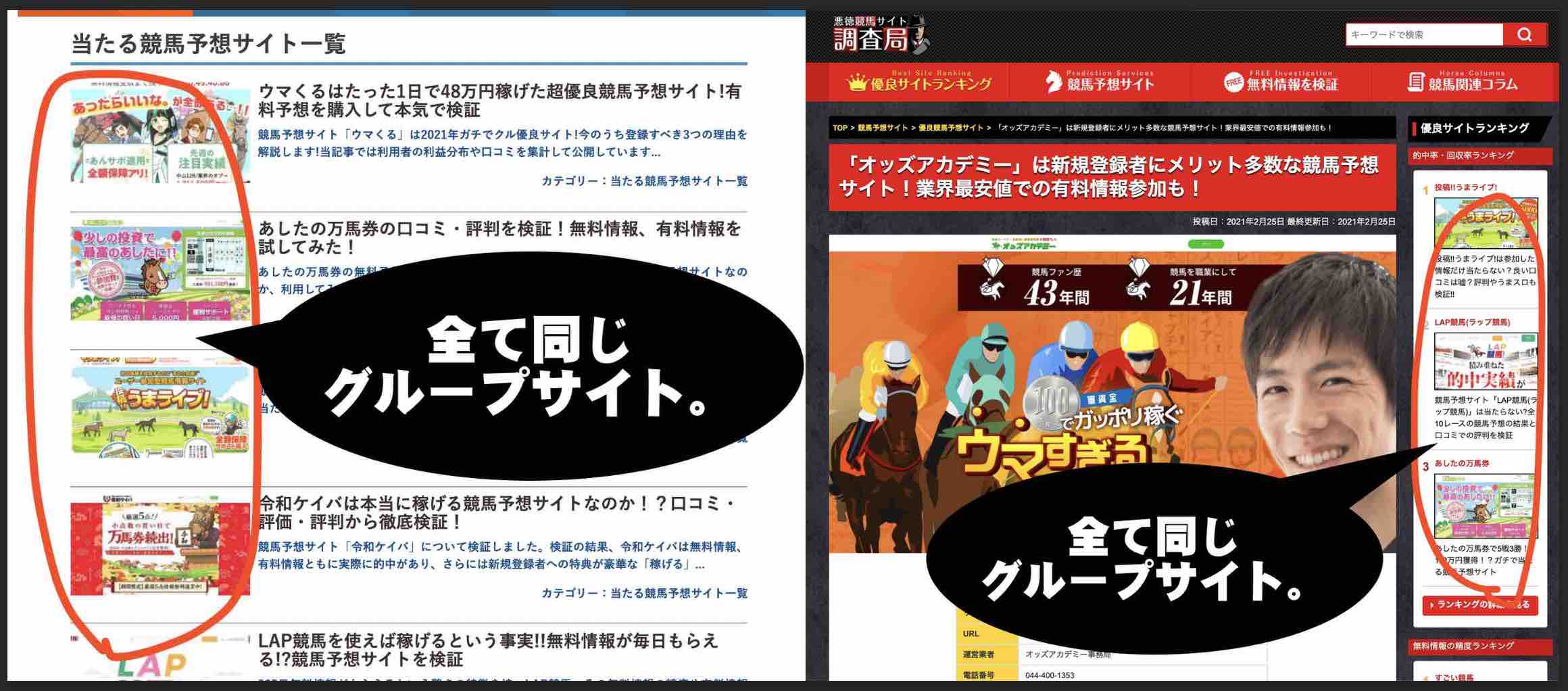 オッズアカデミーという競馬予想サイトを高評価する検証サイト2つの共通点