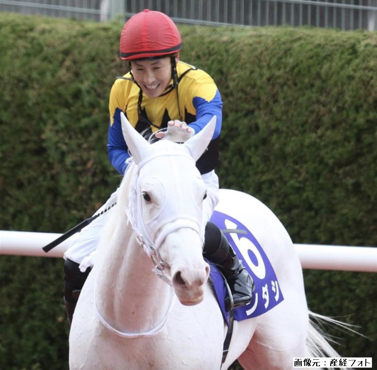 吉田隼人騎手とソダシ