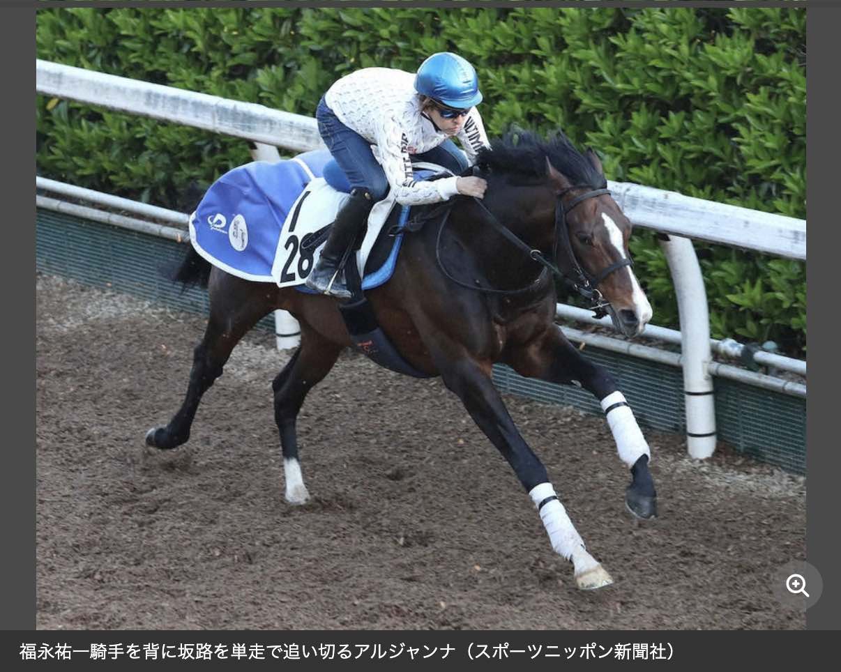 マイラーズCで2着したアルジャンナが膝を骨折
