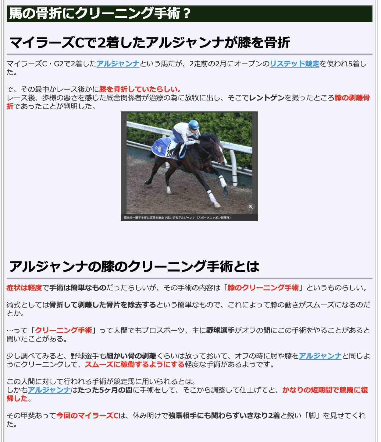 競馬検証.comの競馬コラム「馬の骨折にクリーニング手術?」