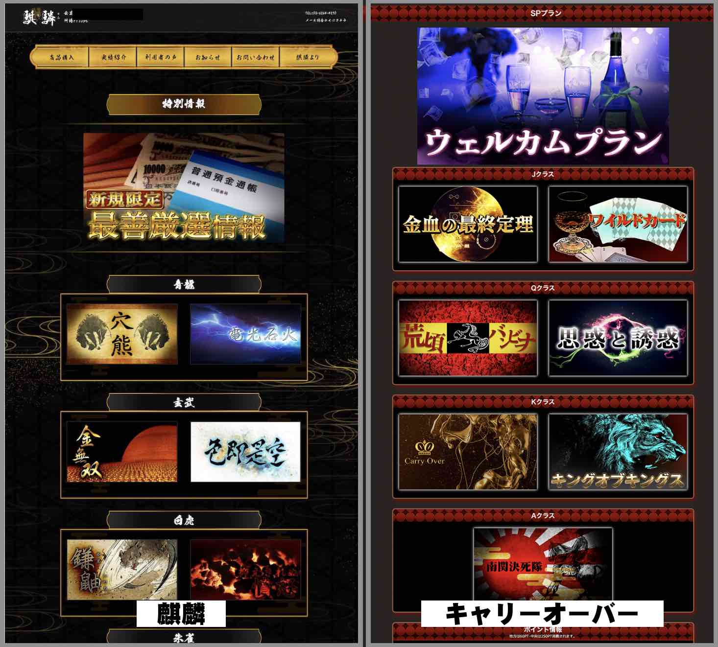 騏驎という競馬予想サイトとキャリーオーバーが似てる