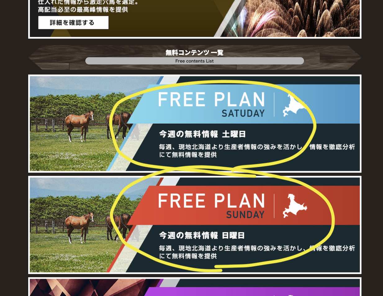 ノースインパクトという競馬予想サイトの無料予想(無料情報)を確認する