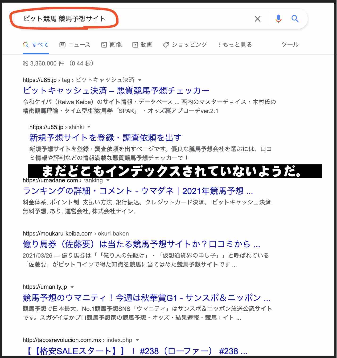 ビット競馬という競馬予想サイトの情報検索