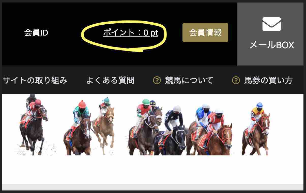 ポイント還元は、ない