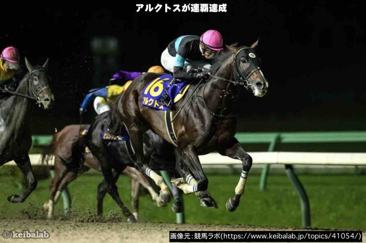 アルクトスが横綱相撲を見せ連覇達成!