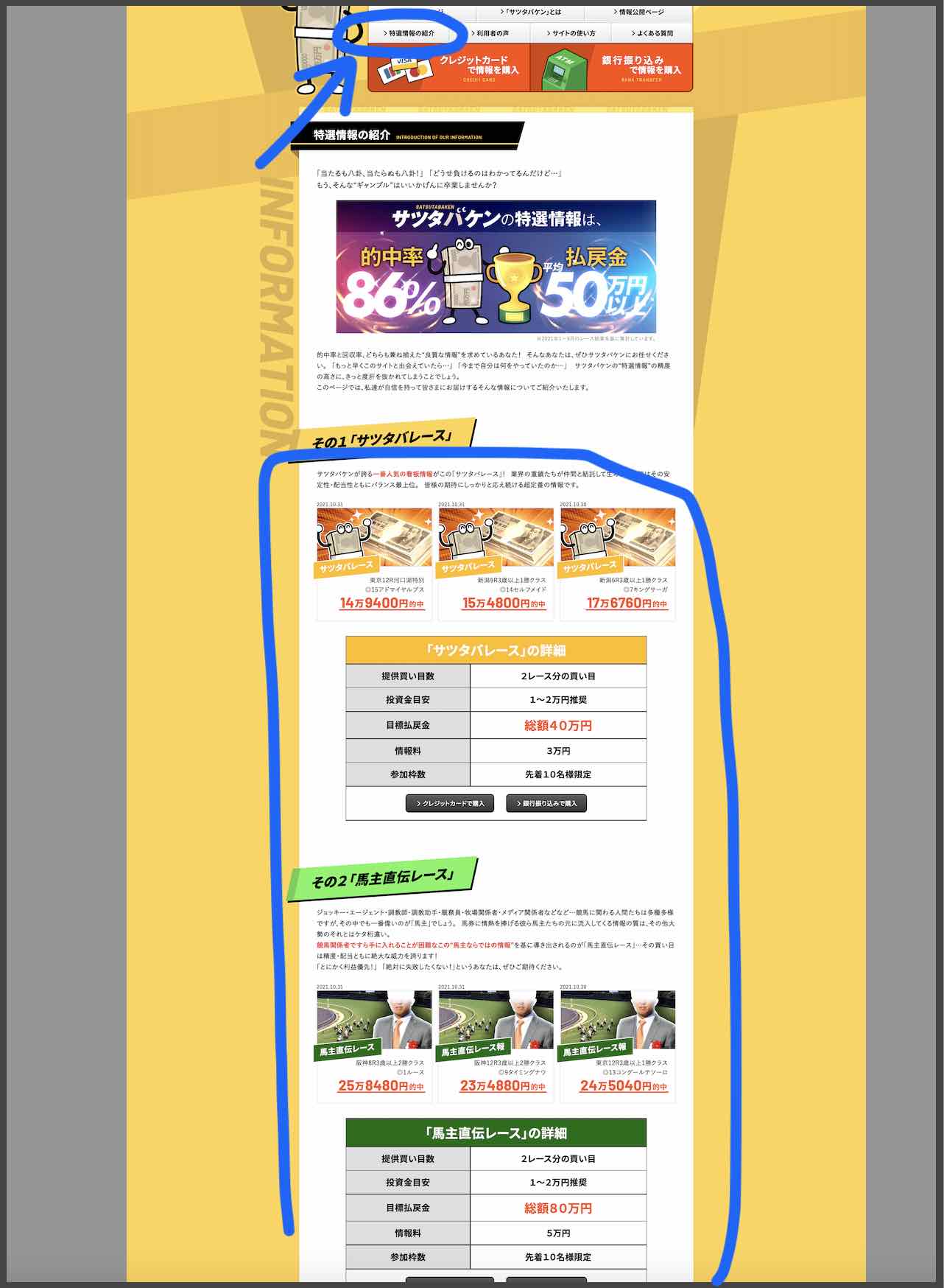 サツタバケンという競馬予想サイトが提供する競馬予想定番コース