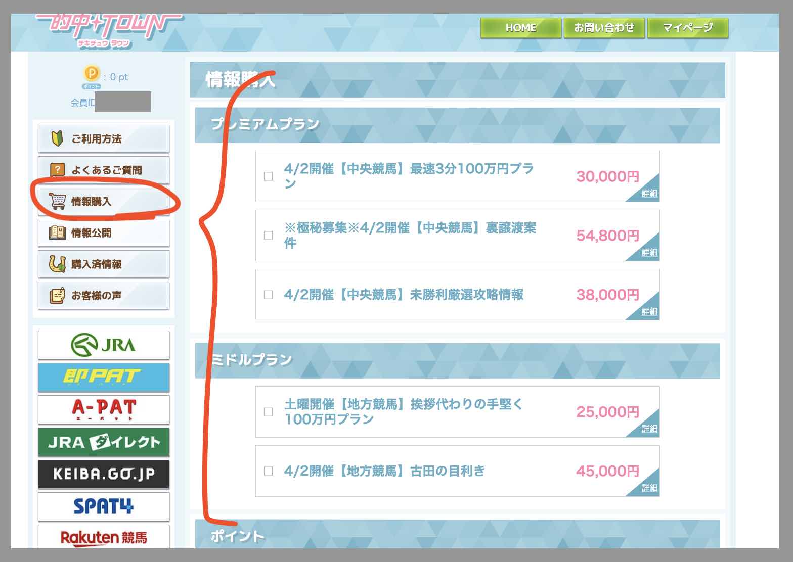 的中タウンという競馬予想サイトが提供する競馬予想