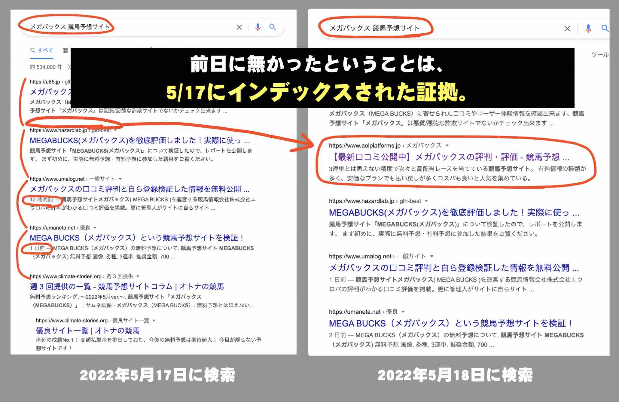 メガバックスのことを本当にそんな前から知ってたのか?