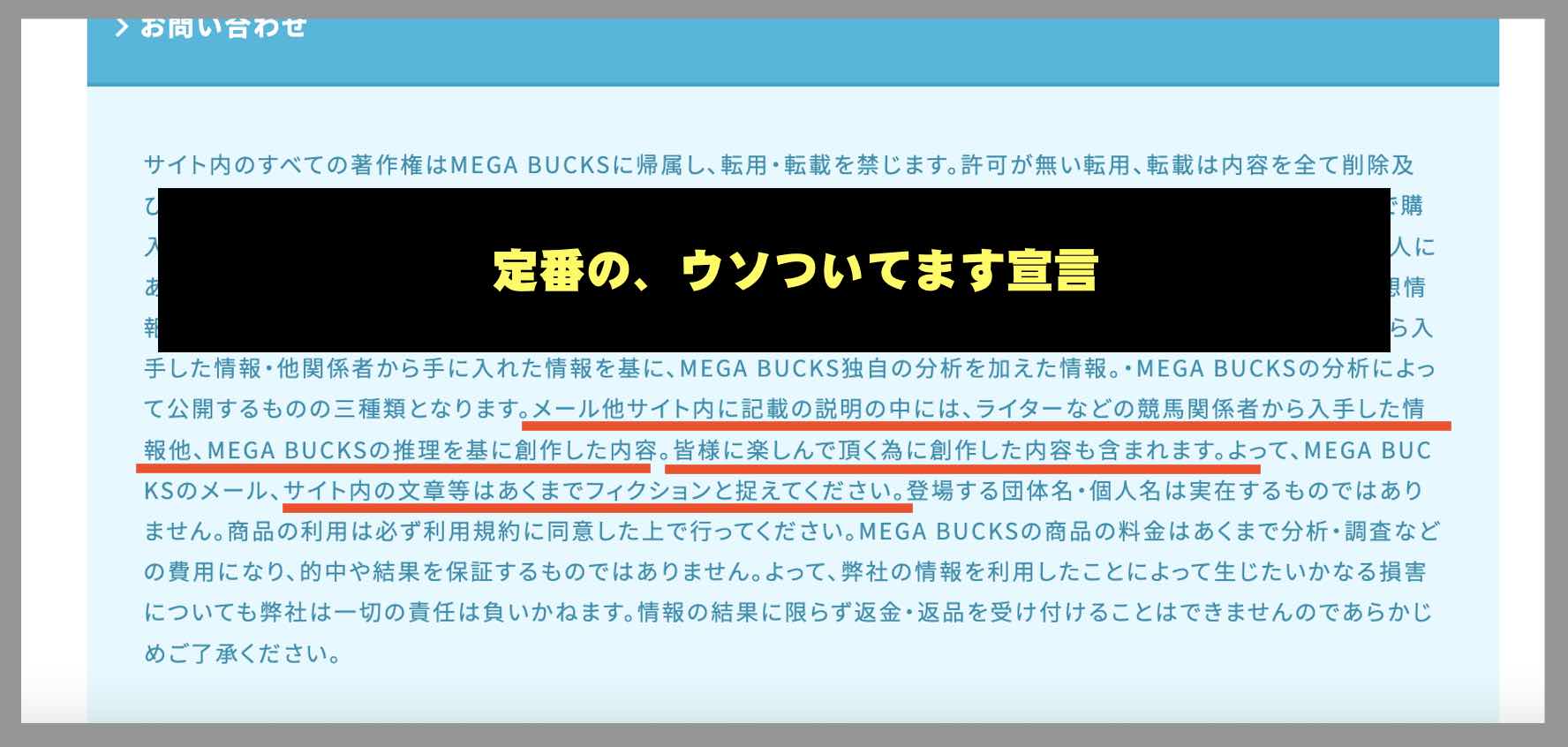 メガバックス(MEGA BUCKS)の「ウソついてます宣言」