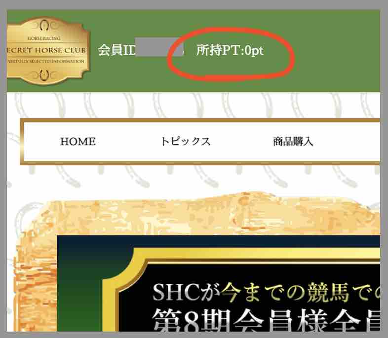 競馬予想サイト「シークレットホースクラブ」のポイント還元を検証