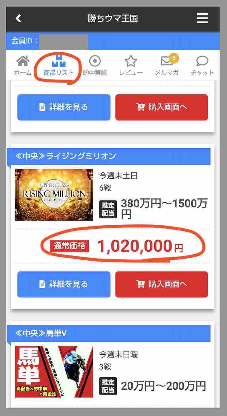 勝ちウマ王国という競馬予想サイトが提供する競馬予想