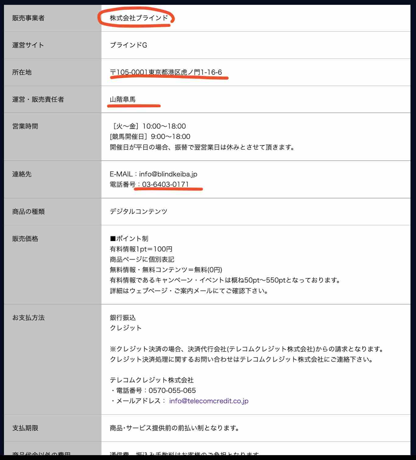 ブラインドGという競馬予想サイトの運営会社情報