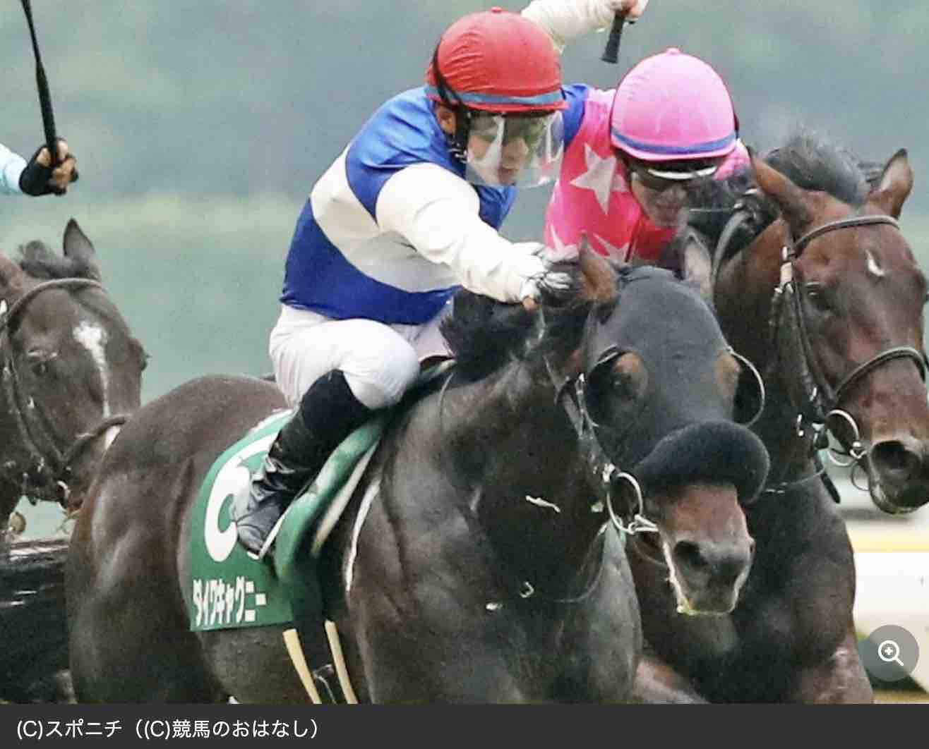 ダイワキャグニーが引退