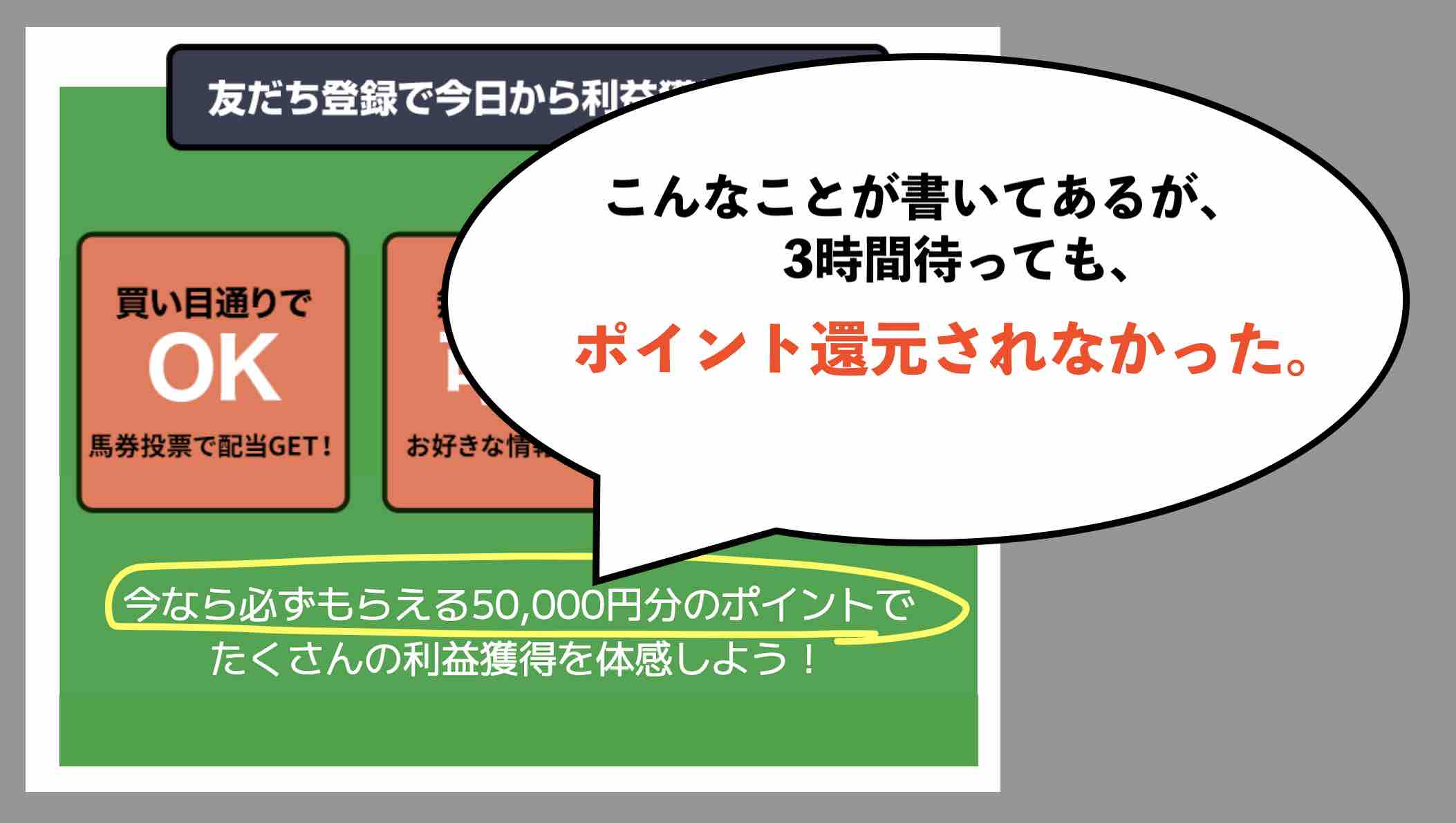 ポイント還元はされなかった