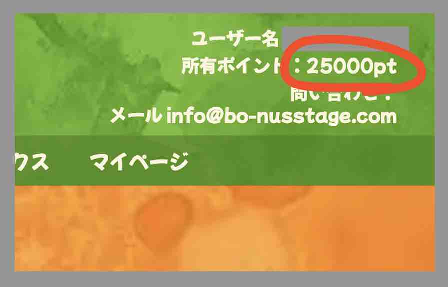 競馬予想サイト「直撃万倍カチカク」のポイント還元は使えない?