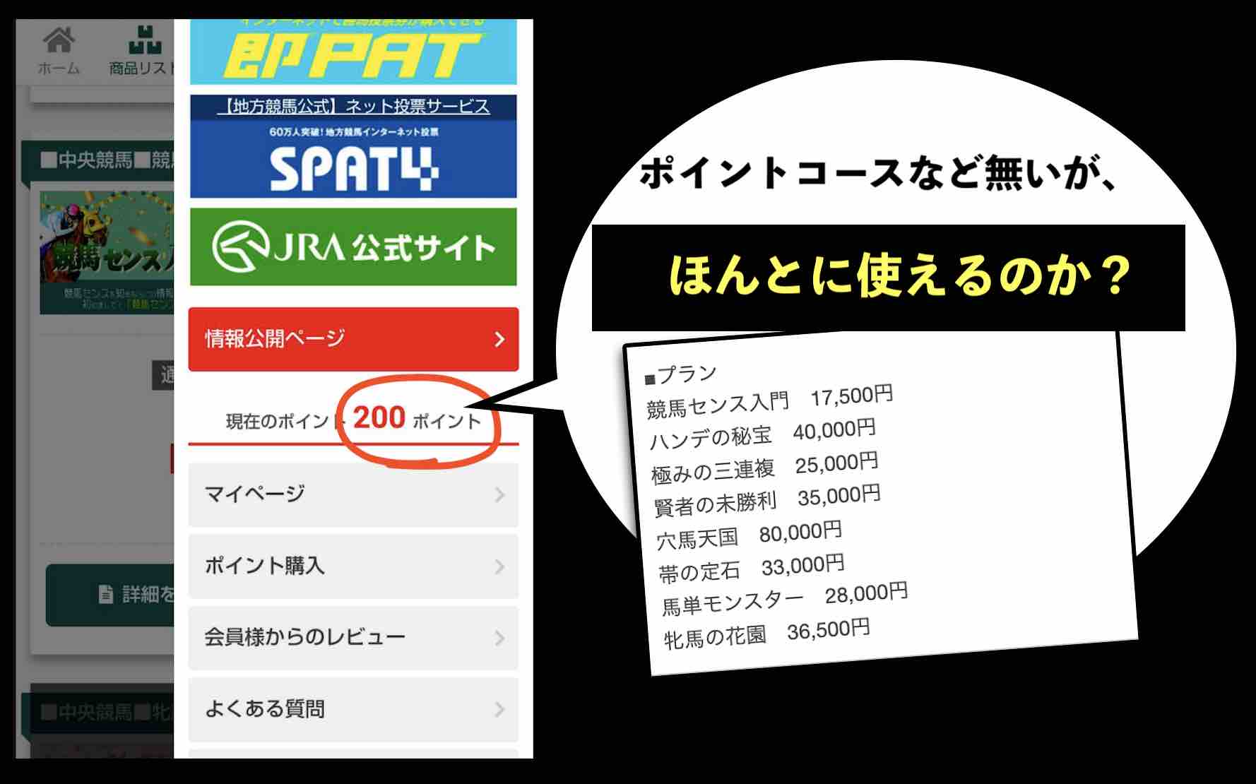 競馬センスのポイントは使えるのか?