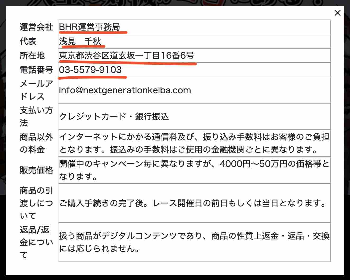 ブレイクホースレーシングという競馬予想サイトの運営会社情報