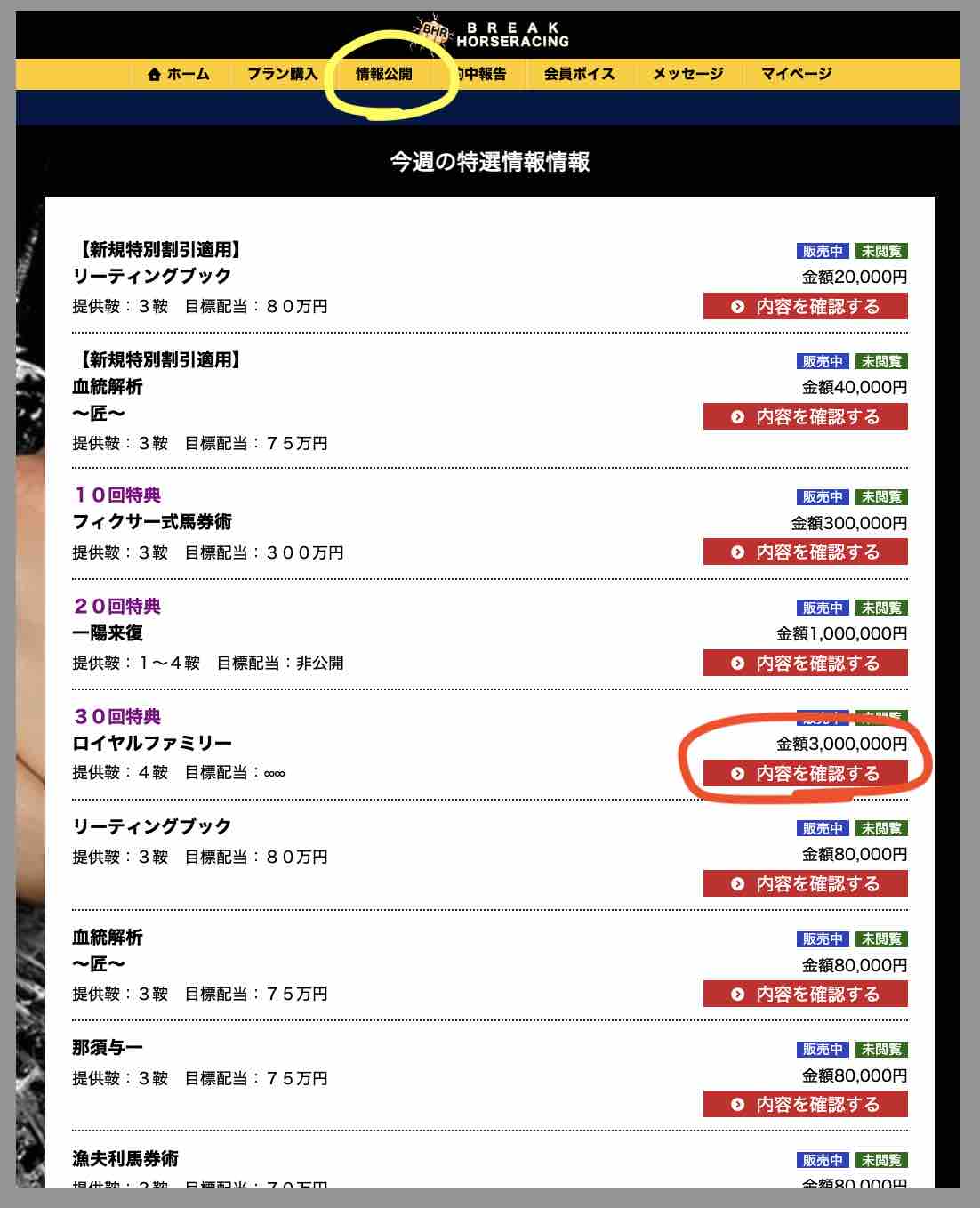 ブレイクホースレーシングという競馬予想サイトが提供する競馬予想