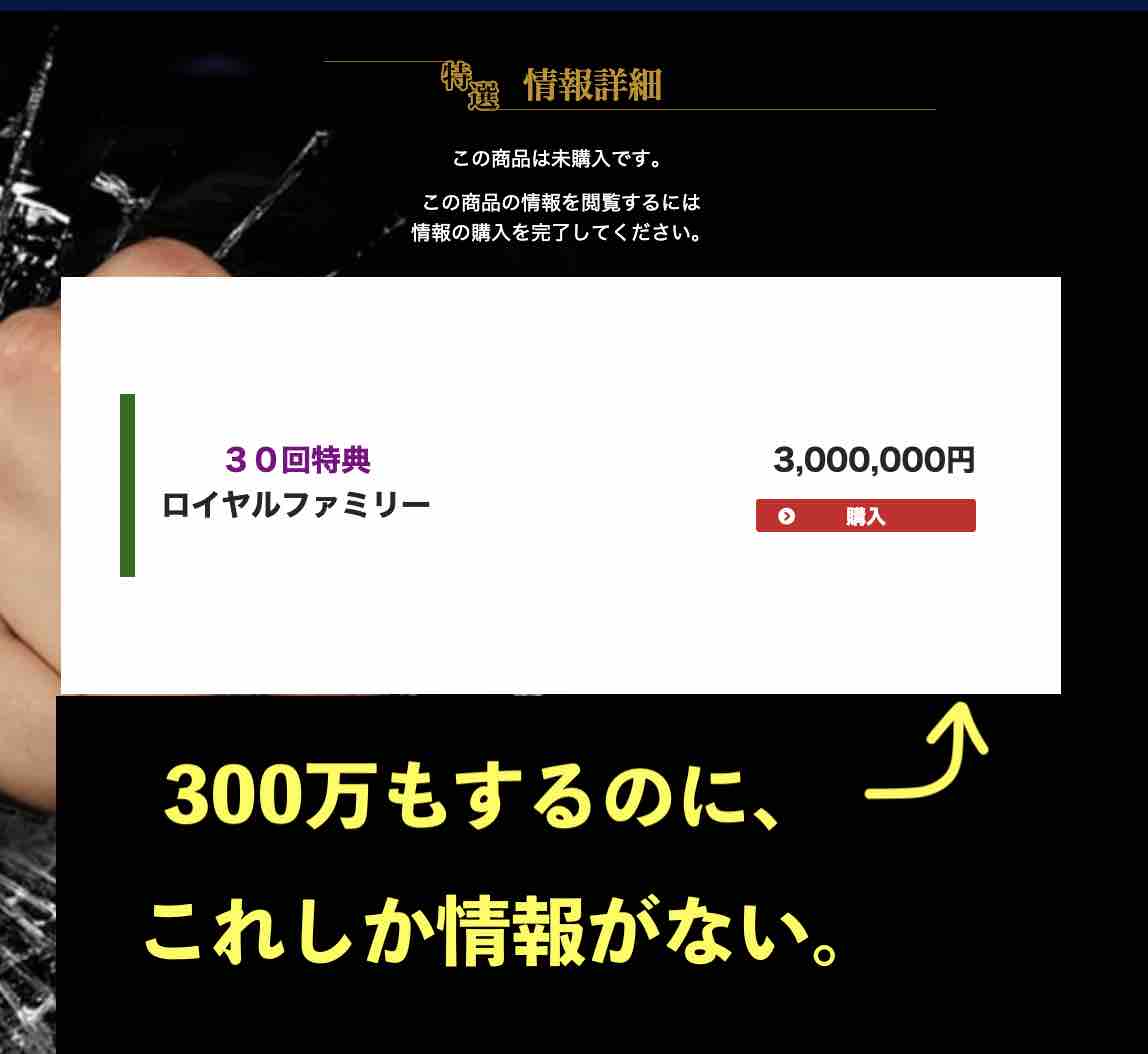 ブレイクホースレーシングの300万円もする高額コースも説明が無い