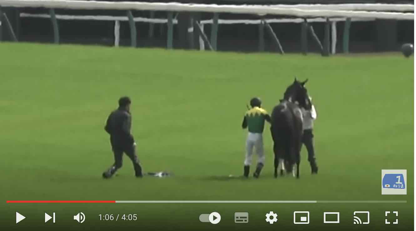 天皇賞で競走中止となったタイトルホルダー