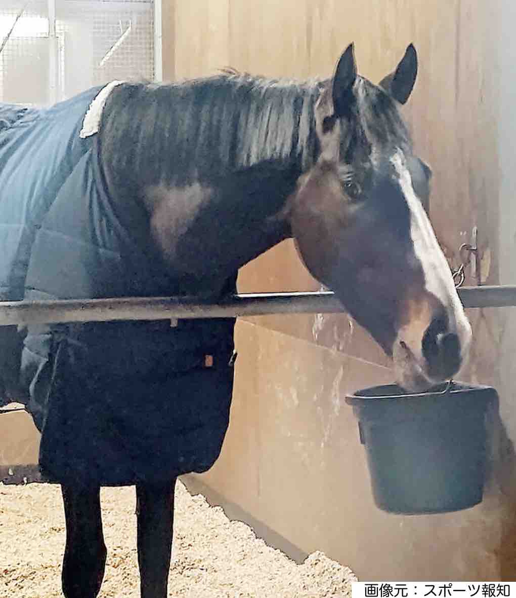 ドゥラエレーデ