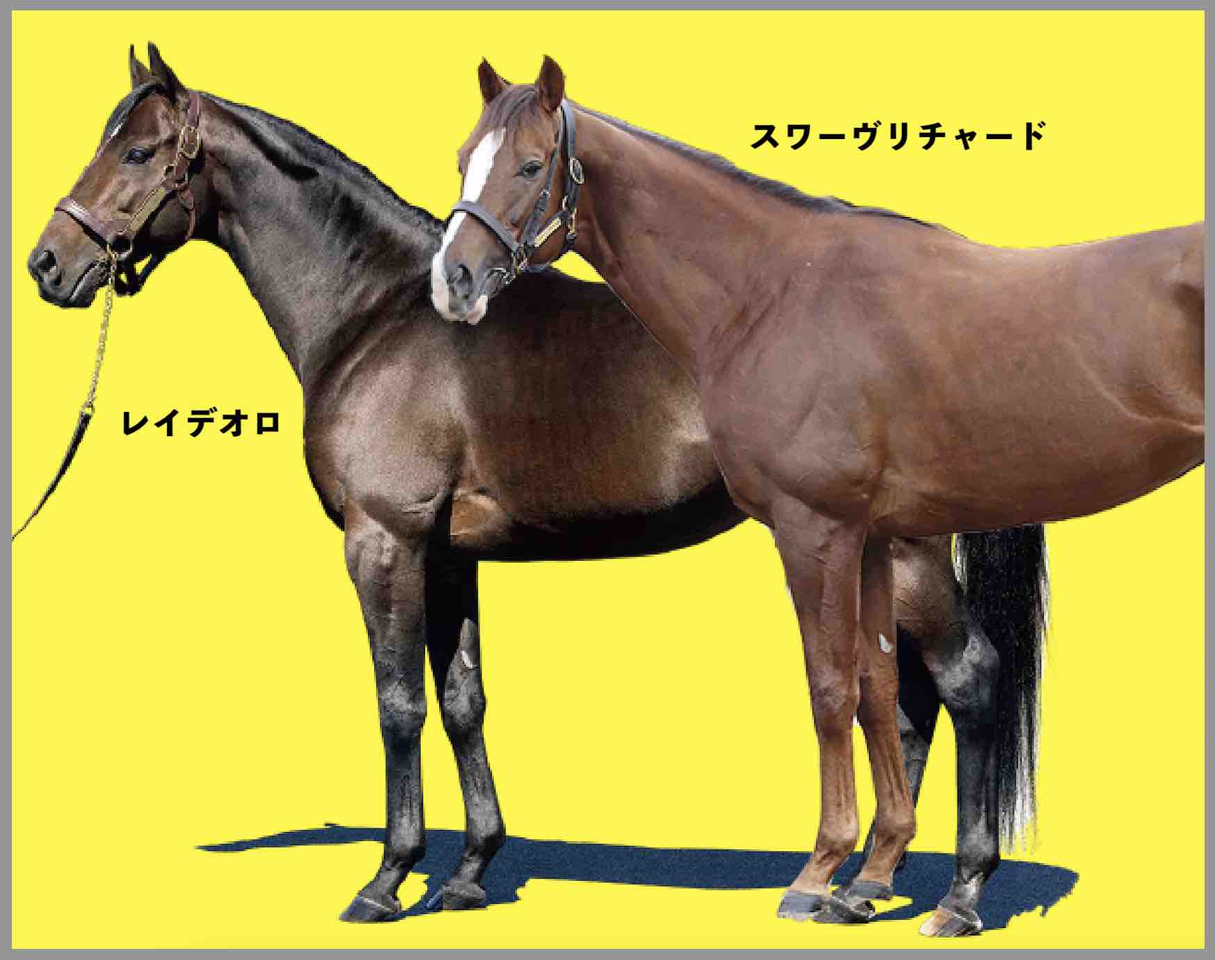 レイデオロとスワーヴリチャード