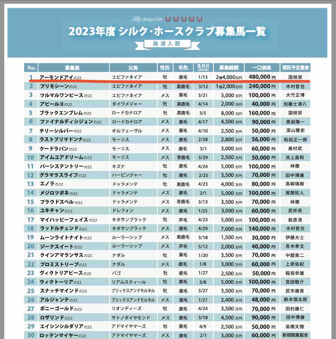アーモンドアイの初仔の募集総額がなんと、2億4000万円
