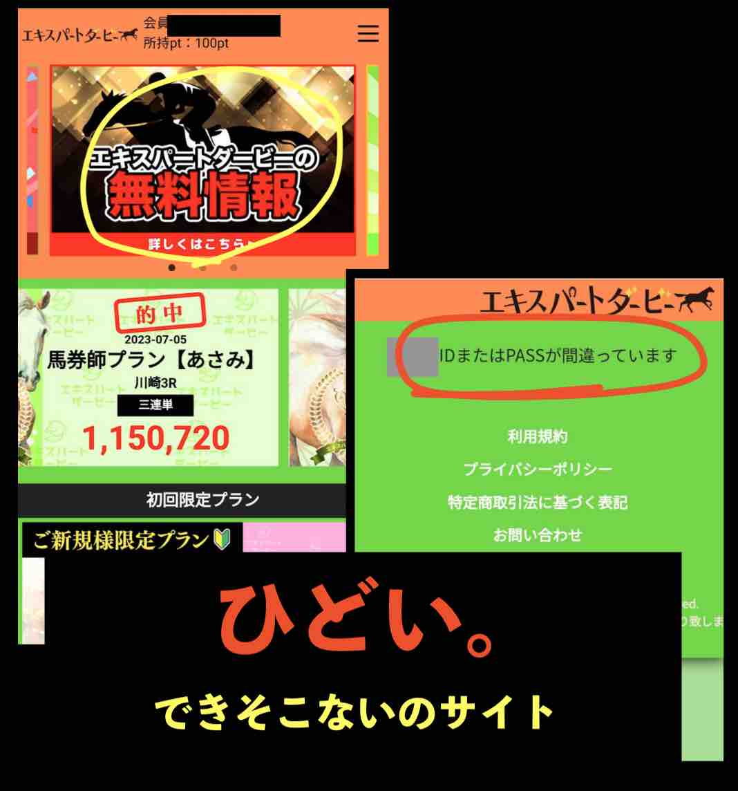 エキスパートダービーの無料予想はエラーで確認だできない?