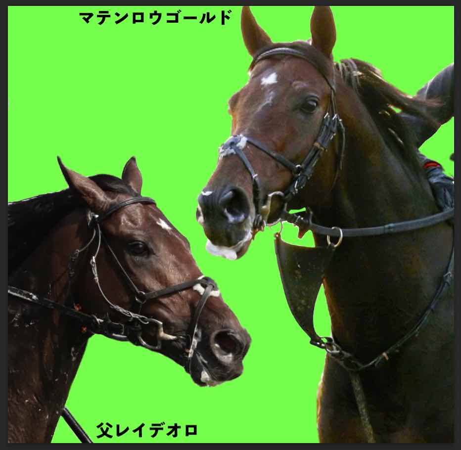 マテンロウゴールドと父レイデオロ