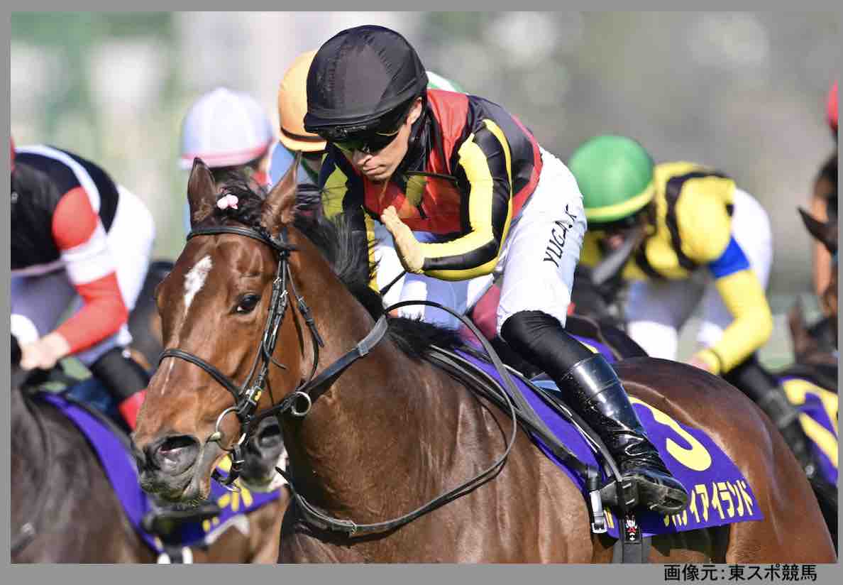 秋華賞で3冠が懸かるリバティアイランド