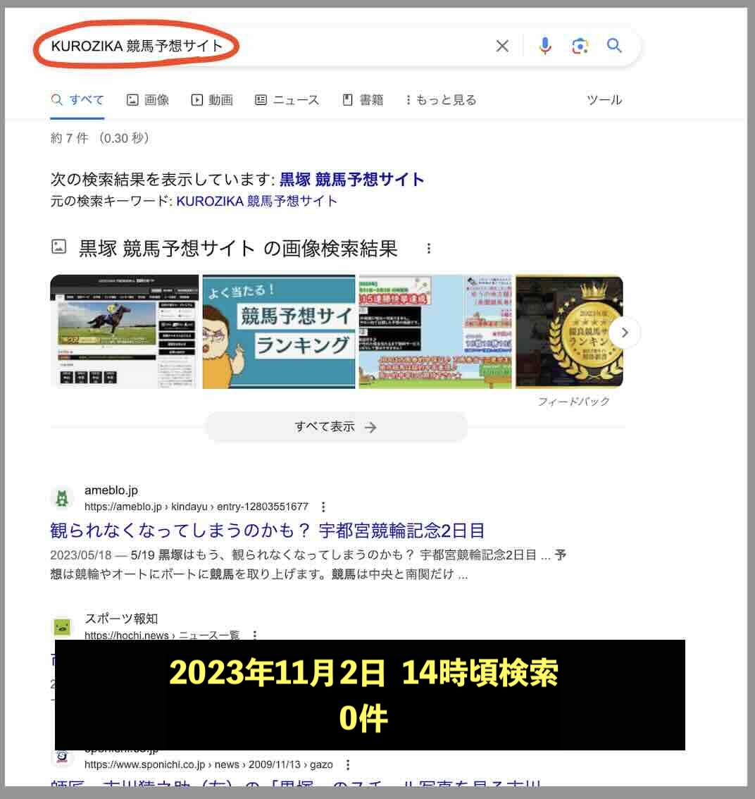KUROZIKA(クロジカ)のサイト情報検索結果
