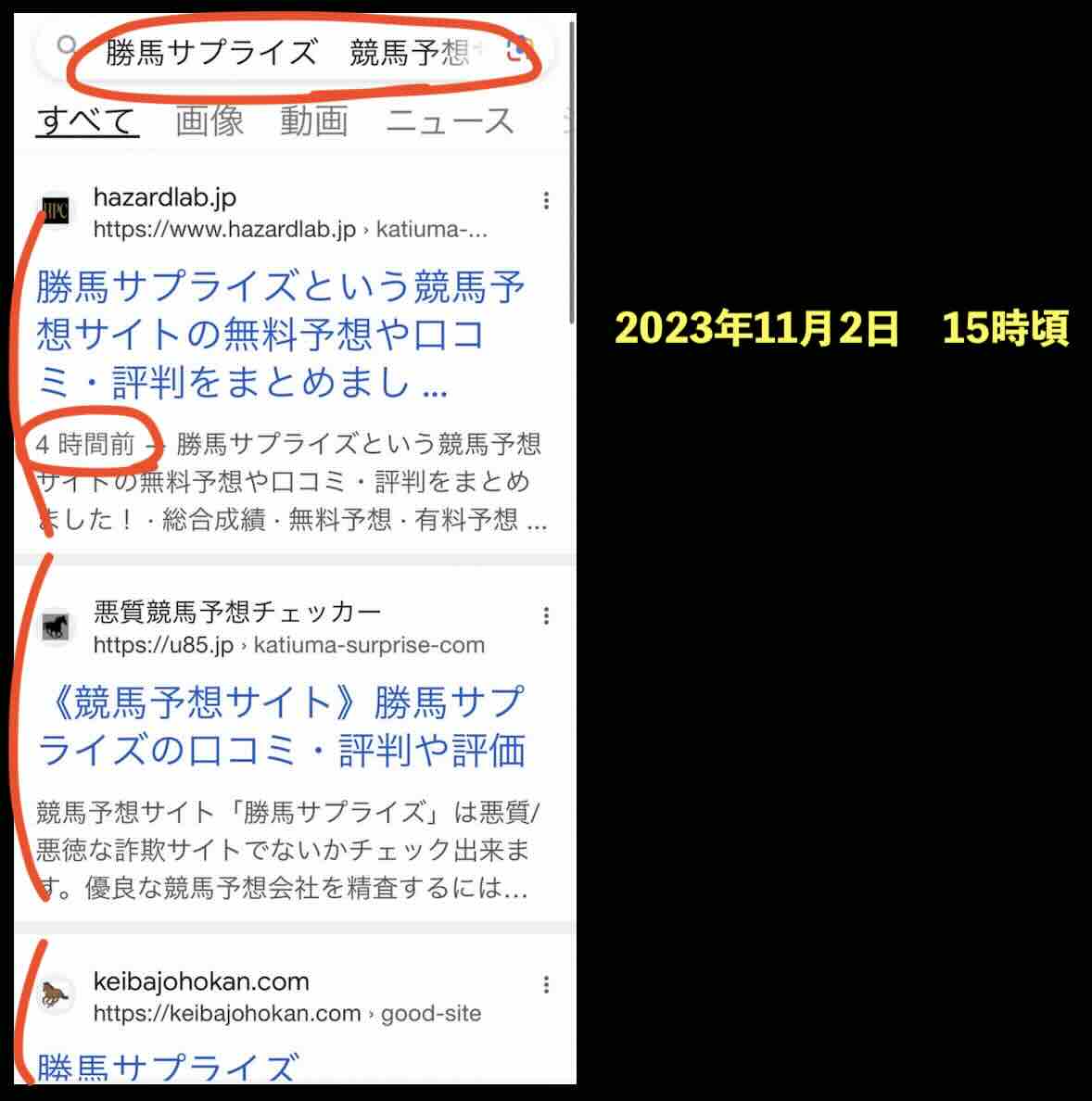 勝馬サプライズのサイト情報検索結果